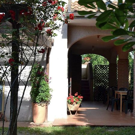 Hotel Agriturismo Piana Arborello Magliano in Toscana Exteriér fotografie