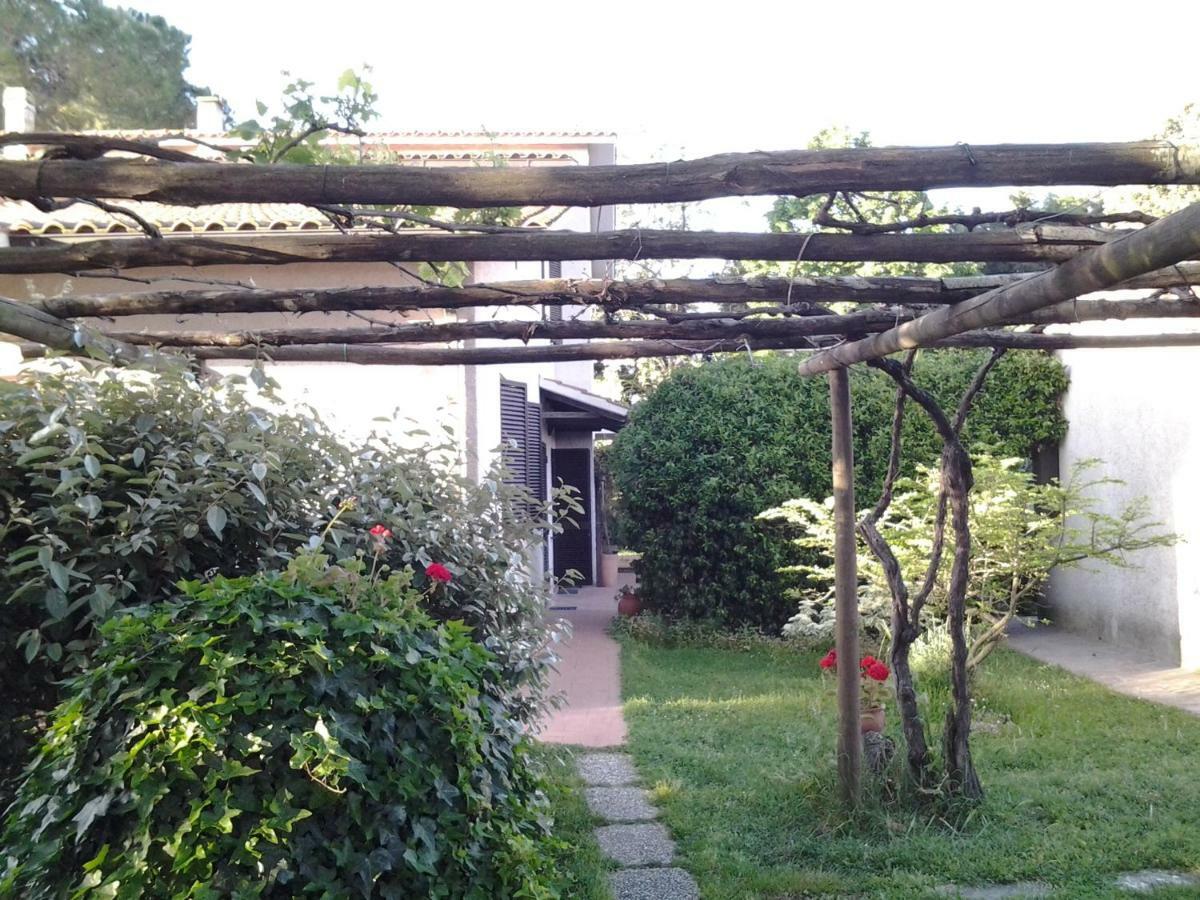 Hotel Agriturismo Piana Arborello Magliano in Toscana Exteriér fotografie