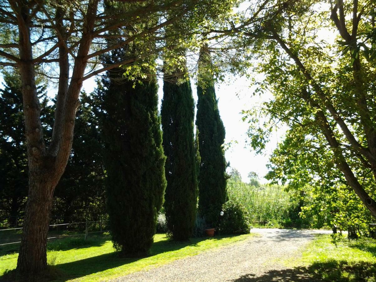 Hotel Agriturismo Piana Arborello Magliano in Toscana Exteriér fotografie