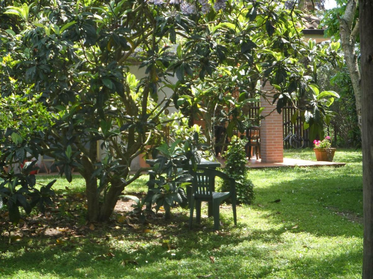 Hotel Agriturismo Piana Arborello Magliano in Toscana Exteriér fotografie