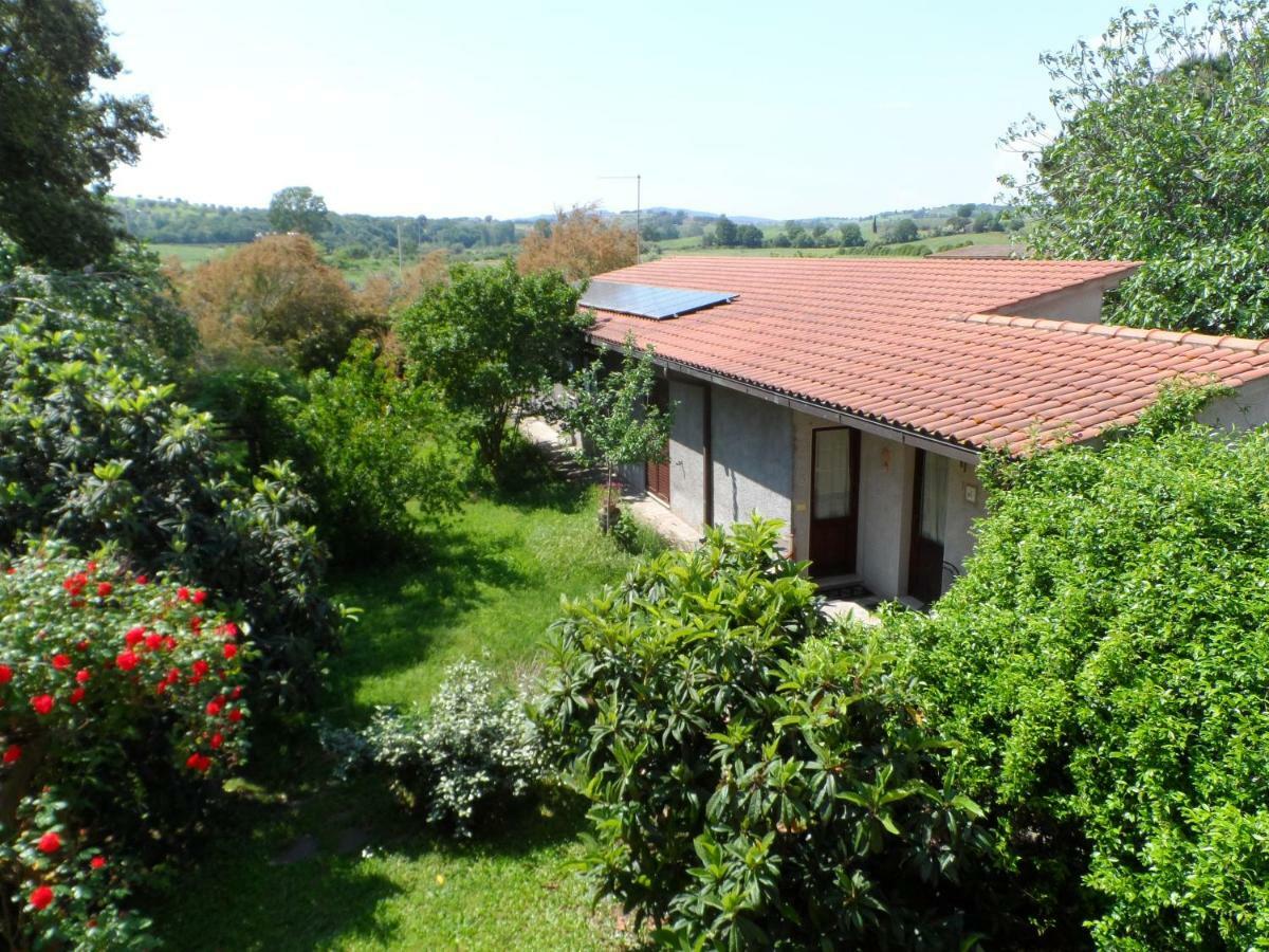 Hotel Agriturismo Piana Arborello Magliano in Toscana Exteriér fotografie