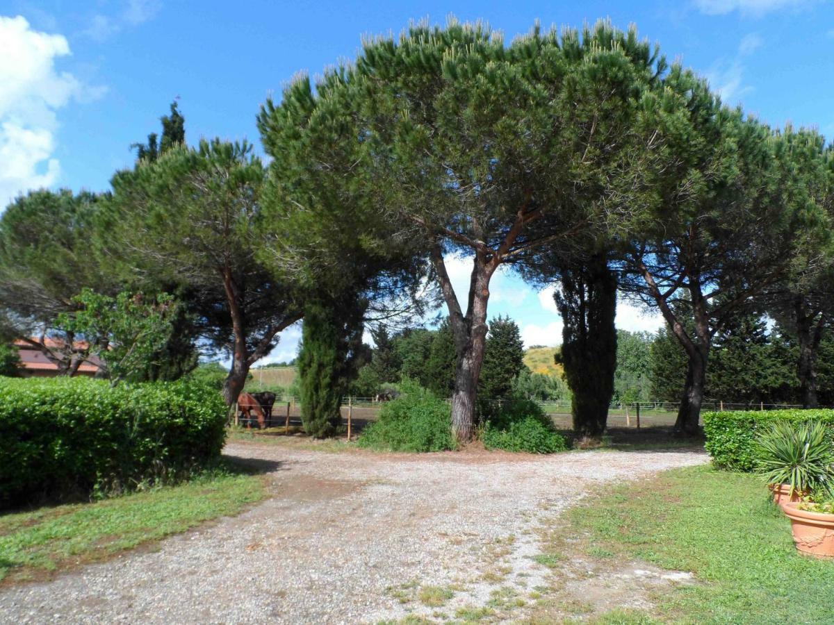 Hotel Agriturismo Piana Arborello Magliano in Toscana Exteriér fotografie