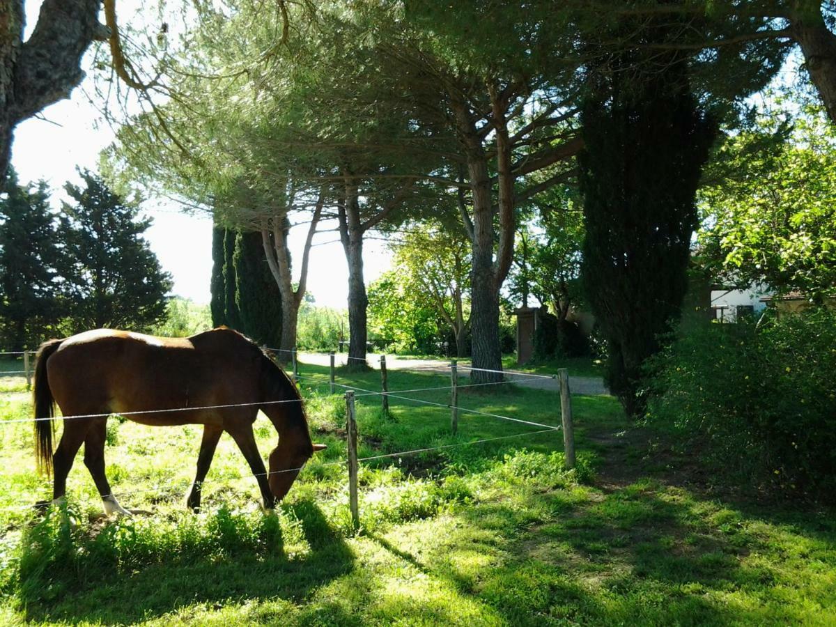 Hotel Agriturismo Piana Arborello Magliano in Toscana Exteriér fotografie