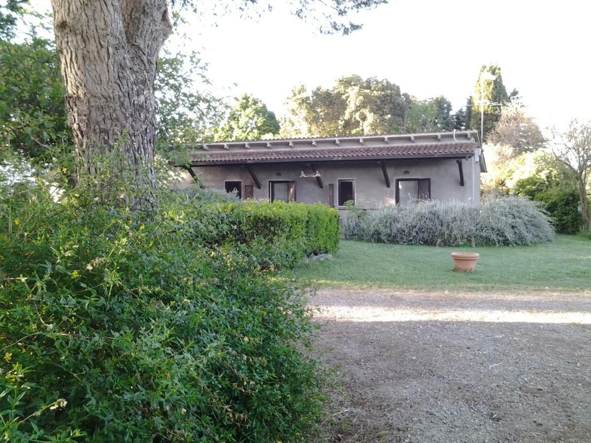 Hotel Agriturismo Piana Arborello Magliano in Toscana Exteriér fotografie