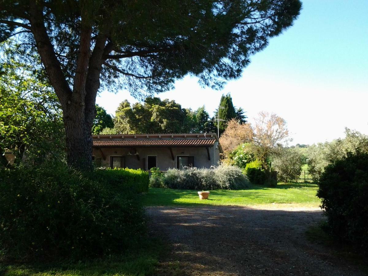 Hotel Agriturismo Piana Arborello Magliano in Toscana Exteriér fotografie