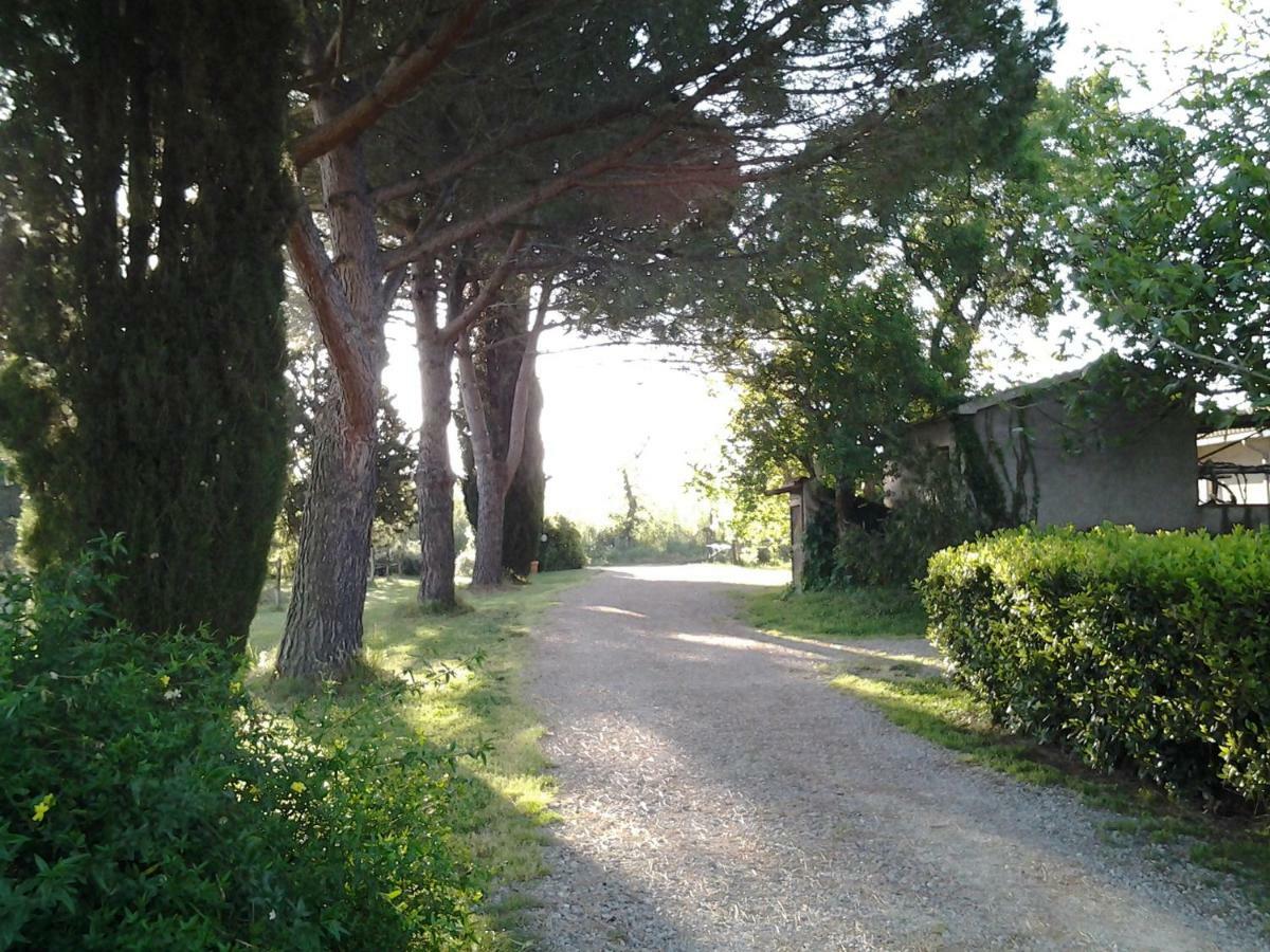 Hotel Agriturismo Piana Arborello Magliano in Toscana Exteriér fotografie