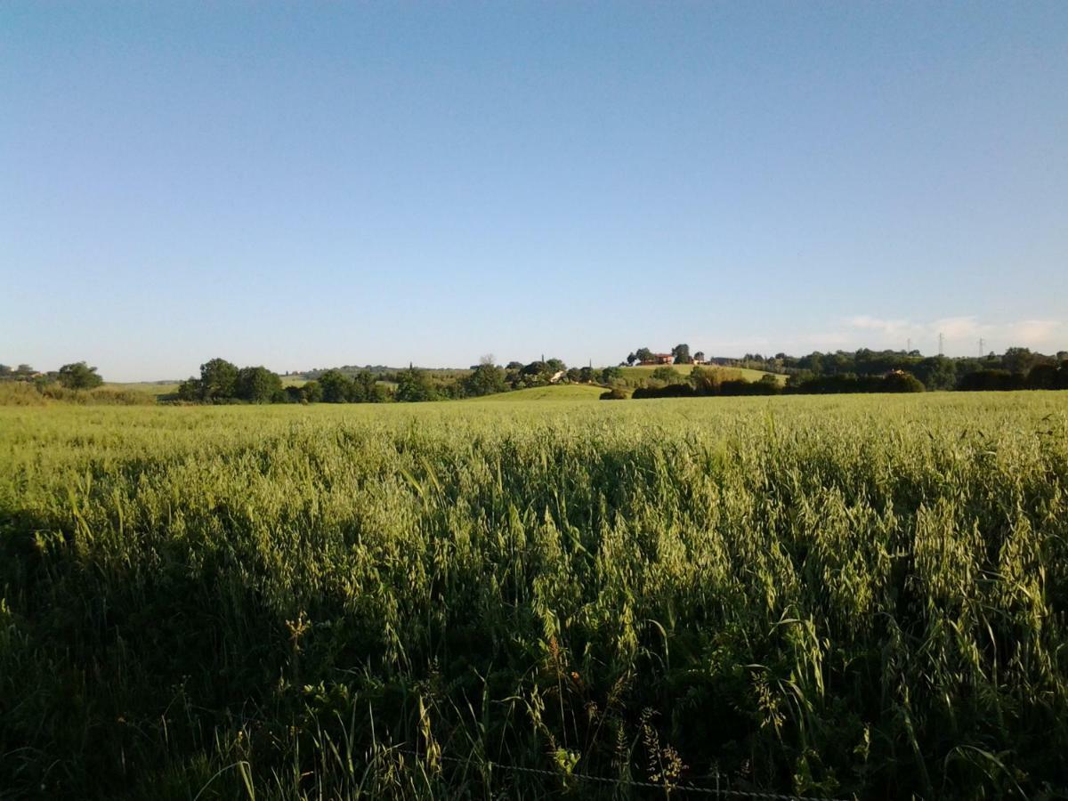 Hotel Agriturismo Piana Arborello Magliano in Toscana Exteriér fotografie